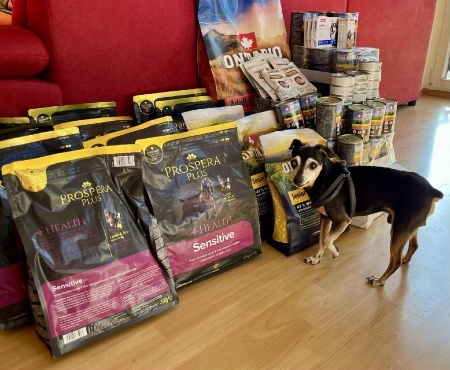 Psí senioři v nouzi, z.s.